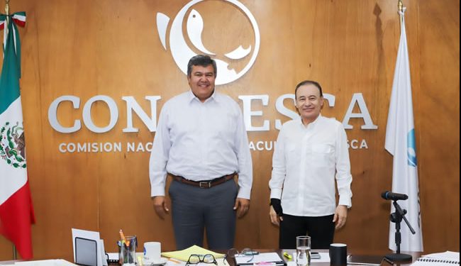 Sonora primer lugar en producción pesquera: Conapesca