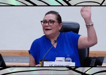 INE se apegará 100% a la Constitución en asignación de plurinominales al Congreso 2024: Taddei