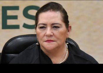 ‘Ninguna amenaza es bienvenida en el INE’: Guadalupe Taddei