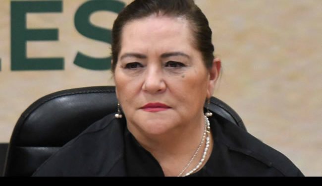 ‘Ninguna amenaza es bienvenida en el INE’: Guadalupe Taddei