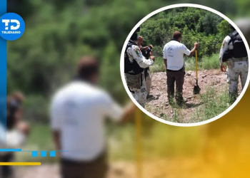 Recuperan más cuerpos en fosas clandestinas en Nogales