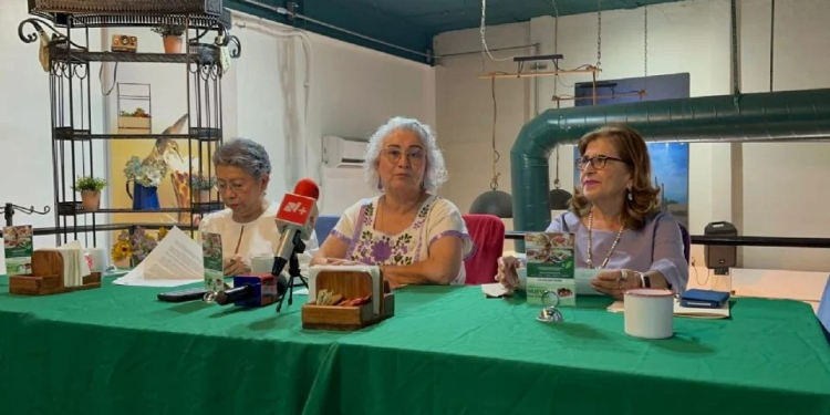 La primera legislatura de mujeres nos quedó a deber: Observatorio Feminista de Sonora