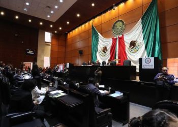 Siempre sí: diputados analizan en comisiones aprobar la extinción de organismos autónomos