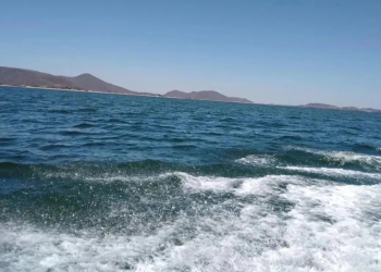 Pescadores encuentran a una mujer sin vida en Golfo de Santa Clara, Sonora
