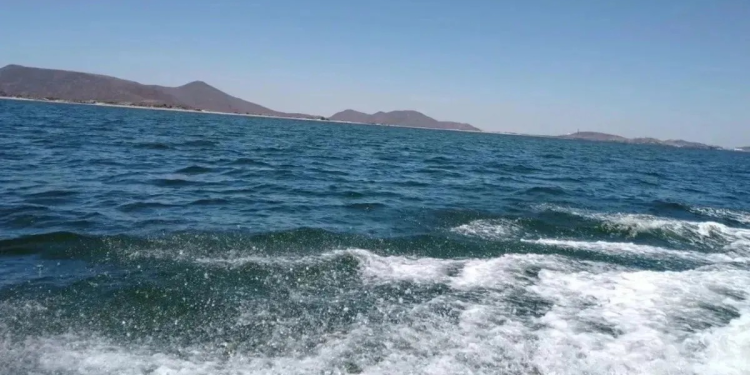 Pescadores encuentran a una mujer sin vida en Golfo de Santa Clara, Sonora
