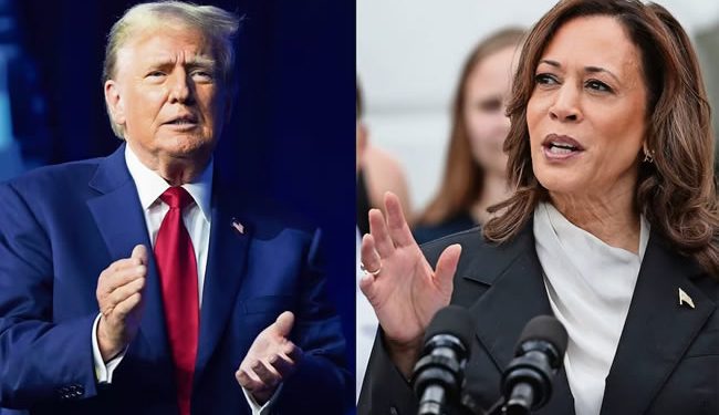 Kamala Harris tunde a Trump y lo aventaja 16 puntos entre votantes latinos, según encuesta