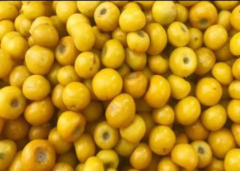 Fruta de oro: el alimento repleto de colágeno que hace desaparecer las arrugas y mantiene la piel suave