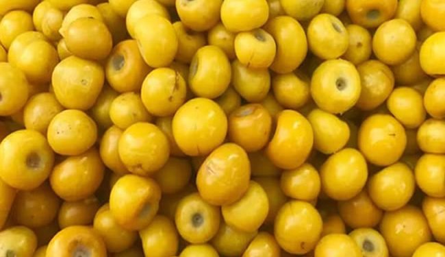 Fruta de oro: el alimento repleto de colágeno que hace desaparecer las arrugas y mantiene la piel suave