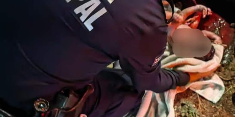 Nace bebé en la calle con ayuda de Policía Preventiva de Hermosillo