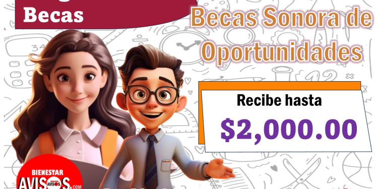 Ya se encuentra disponible la convocatoria de Becas Sonora 2024 para estudiantes de universidad pública