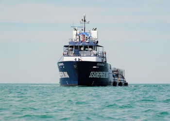 Sea Shepherd no realizará investigación sobre tortuga amarilla en México