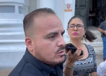 Reportan 30 árboles caídos por lluvias en Hermosillo