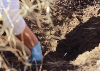 Encuentran Cuerpo Calcinado y Envuelto en Hule en Ciudad Obregón