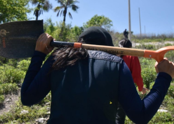 Inconsistencia y falta de transparencia en actualización de fosas clandestinas en México