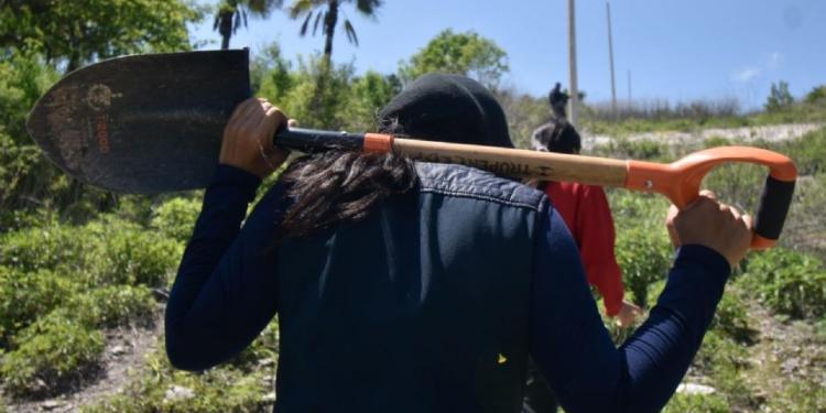 Inconsistencia y falta de transparencia en actualización de fosas clandestinas en México