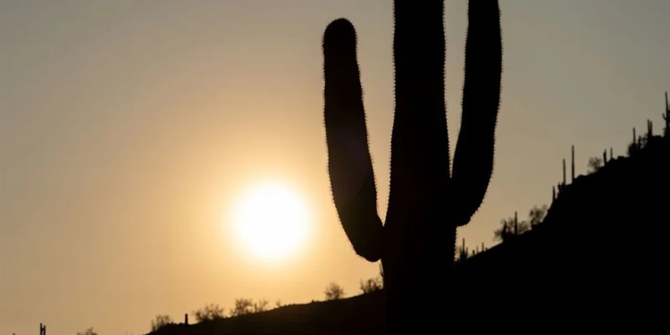 Contra el calor… todo se vale