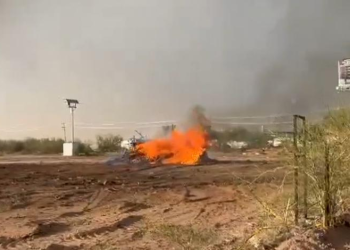 Denuncian quema de cientos de árboles en Hermosillo