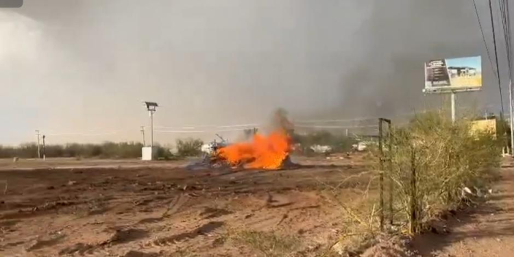 Denuncian quema de cientos de árboles en Hermosillo