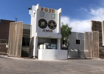 Matan a perrita que protegió a sus dueños de hombre agresivo en Nogales