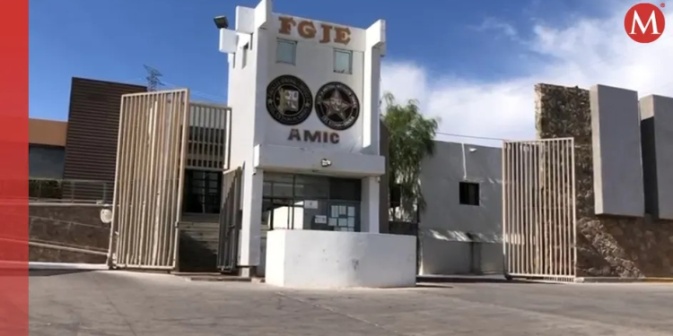 Matan a perrita que protegió a sus dueños de hombre agresivo en Nogales