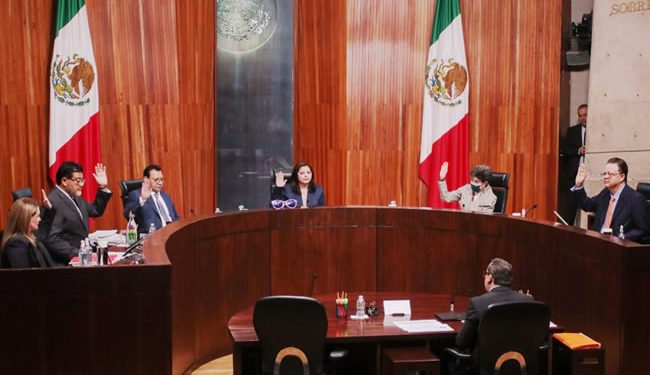 Tribunal Electoral desestima recursos que pedían nulidad de la elección