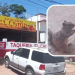 “Los clientes les compran tacos, tortillas…”, así sobreviven ardillas en Nogales