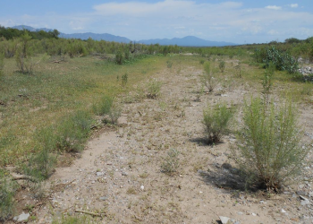 Desabasto de agua y sequía en Sonora: las comunidades de Cananea y Bacoachi reclaman el líquido para vivir y para agricultura y ganadería