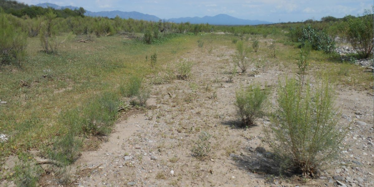 Desabasto de agua y sequía en Sonora: las comunidades de Cananea y Bacoachi reclaman el líquido para vivir y para agricultura y ganadería