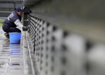 ¿Tienes la preparatoria? Consulado de EEUU tiene un empleo para ti y así puedes aplicar