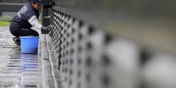 ¿Tienes la preparatoria? Consulado de EEUU tiene un empleo para ti y así puedes aplicar