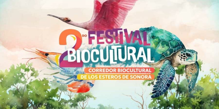Invitan al II Festival Biocultural Estuarino de Sonora