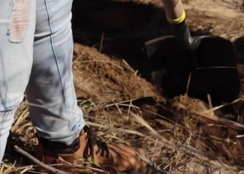 Hallan Restos Humanos en Fosa Clandestina en “La Comaya” en Nogales