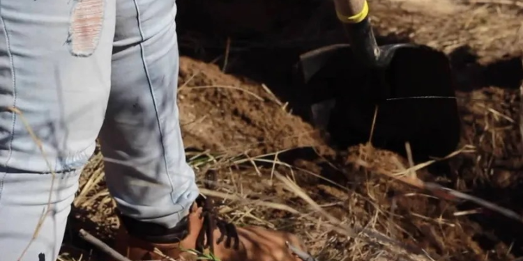 Hallan Restos Humanos en Fosa Clandestina en “La Comaya” en Nogales