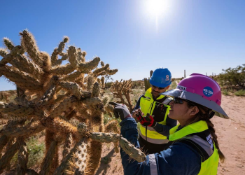 Minera Penmont impulsa la conservación de la biodiversidad en Sonora