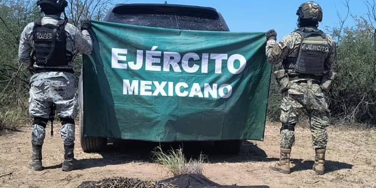 Guardia Nacional y Ejército aseguran seis fusiles de asalto y más de mil 300 cartuchos útiles en Sonora