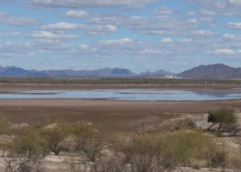 Presas del sur de Sonora registran bajo nivel que impactará en producción de maíz y trigo