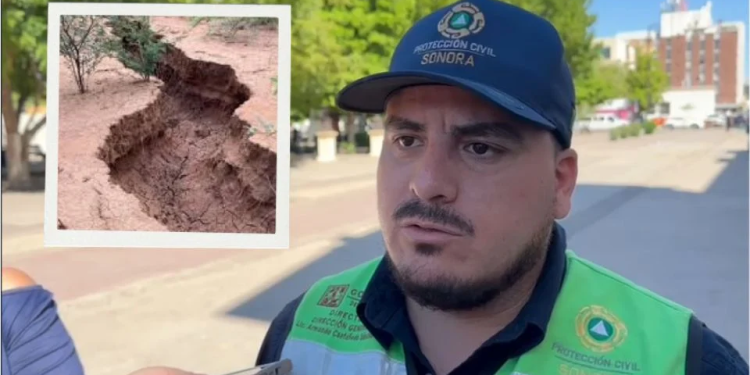 Megazanja en Hermosillo: esperan en octubre dictamen sobre grieta que provocó la muerte de ganado