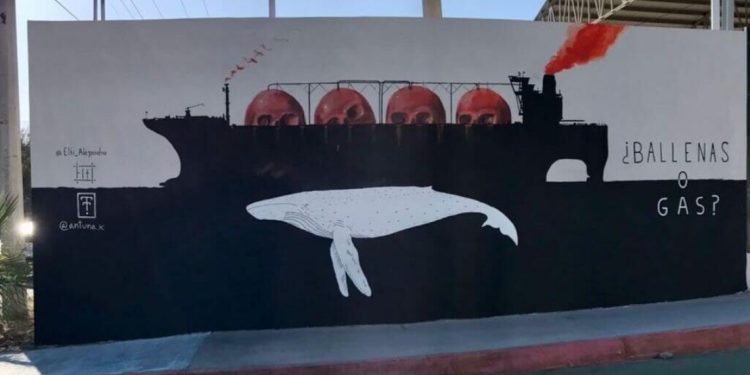 Ballenas o gas: el megaproyecto que amenaza a la biodiversidad del Golfo de California