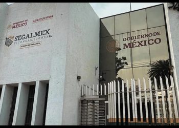 Hay 156 denuncias por fraude a Segalmex: procuradora fiscal Grisel Galeano