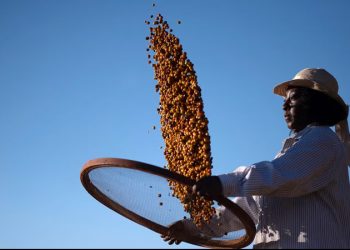 El café se pone por las nubes: estas son las razones de la subida del precio