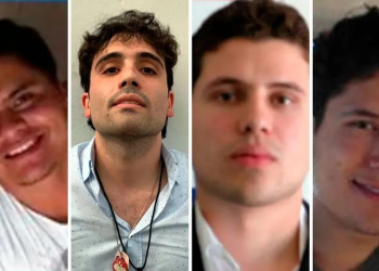 Los aliados de Los Chapitos: Armas, sombreados y la guerra en Sinaloa y Sonora