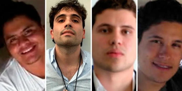 Los aliados de Los Chapitos: Armas, sombreados y la guerra en Sinaloa y Sonora