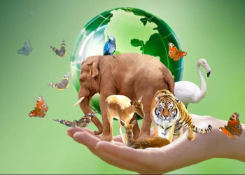 Si no toman estas medidas se extinguirán varios animales