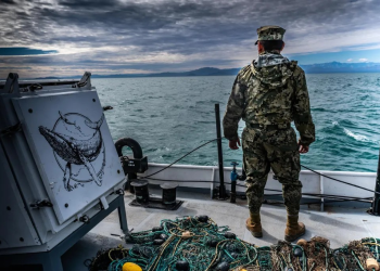 Sea Shepherd triplica la operación de extracción de redes