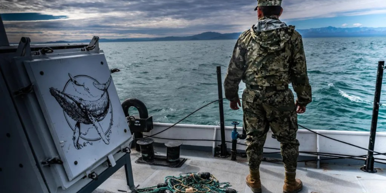 Sea Shepherd triplica la operación de extracción de redes