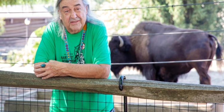 La bendición de los nativos americanos para un bisonte enfermo fue apropiada, no ‘absurda’