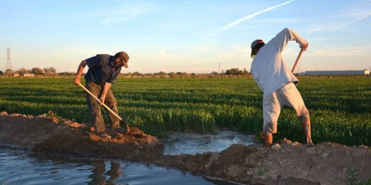 Productores agrícolas de Sonora denuncia que falta de agua se agrava con los años