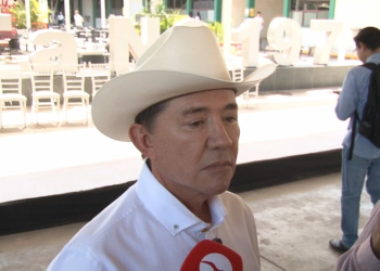 Se buscará que se realicen modificaciones en la nueva ley de protección y bienestar animal en el Estado de Sonora