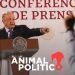 AMLO repartió la publicidad con la misma discrecionalidad del pasado, documenta Art19; a tres medios, 28% del presupuesto