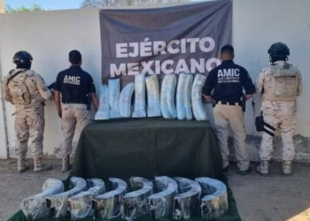 Aseguran casi medio millón de pastillas de fentanilo en SLRC